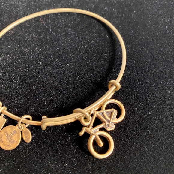 Alex and Ani Charity by Design Bike Rafaelian Gold Bangle Bracelet - Picture 8 of 14